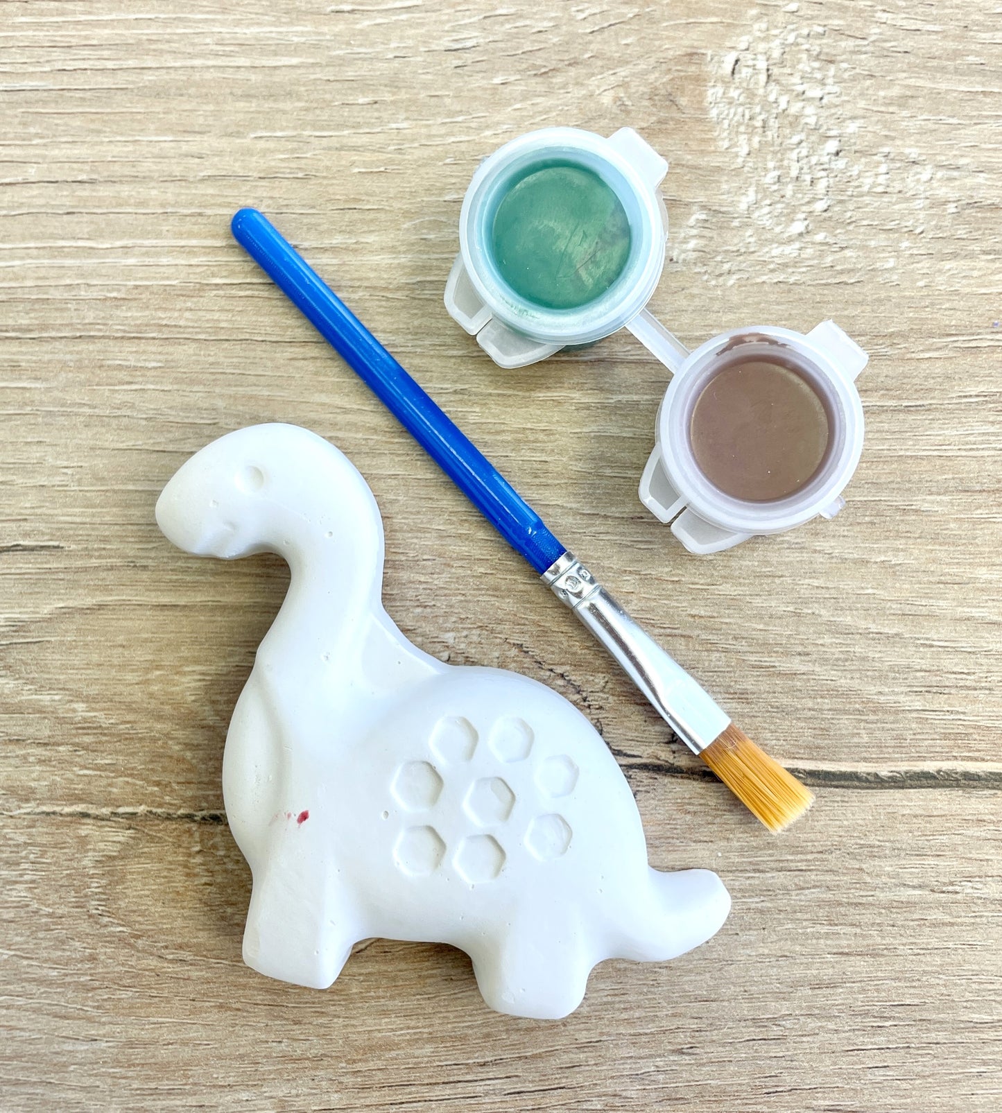 Dinosaur Plaster Paint Kit!